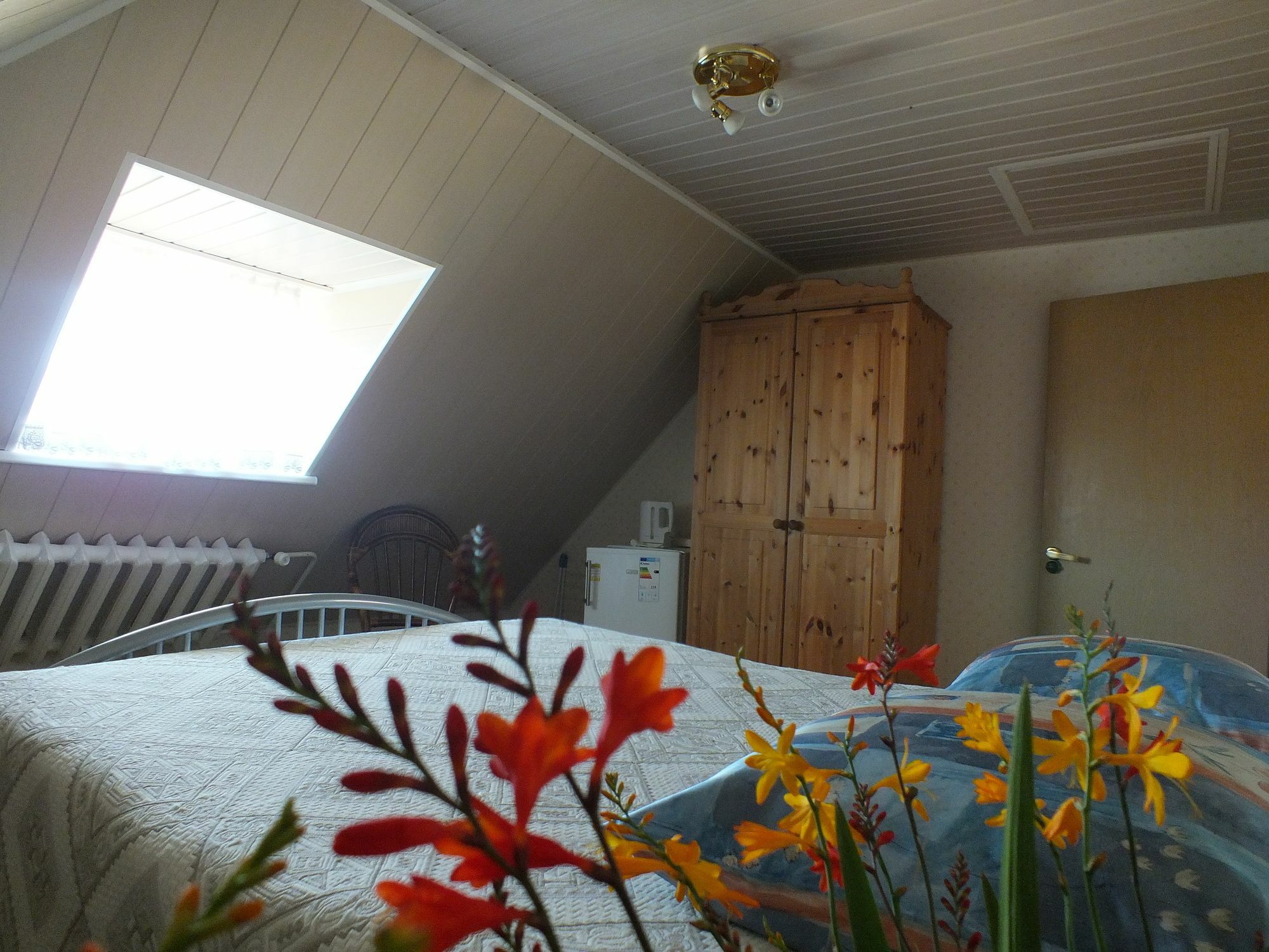 Villa Zveju 29 Palanga Extérieur photo